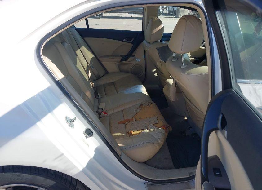 Photo 8 of 2009 Acura Tsx (VIN JH4CU26629C034282)