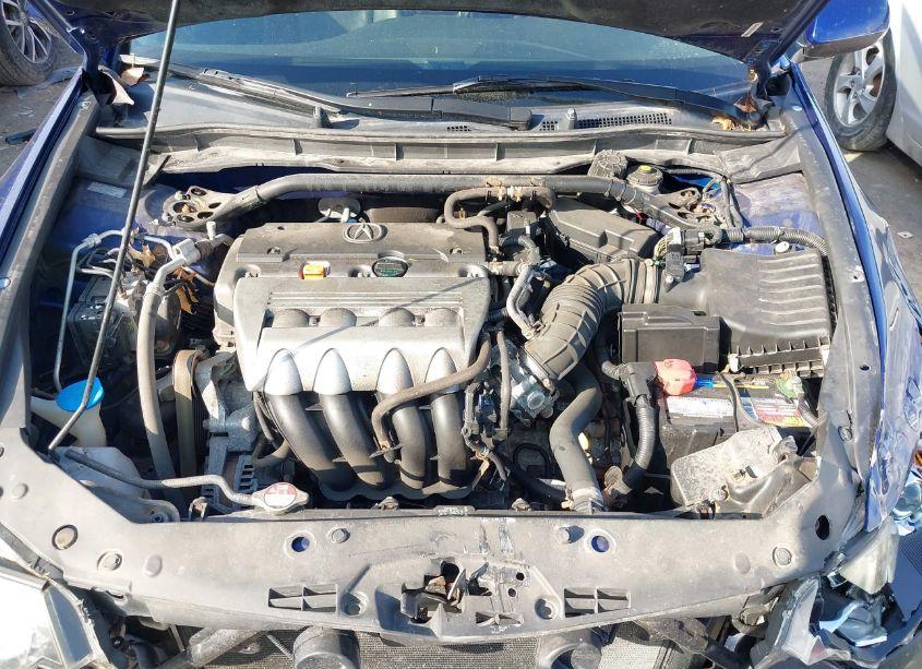 Photo 10 of 2009 Acura Tsx N/A (VIN JH4CU26639C013618)