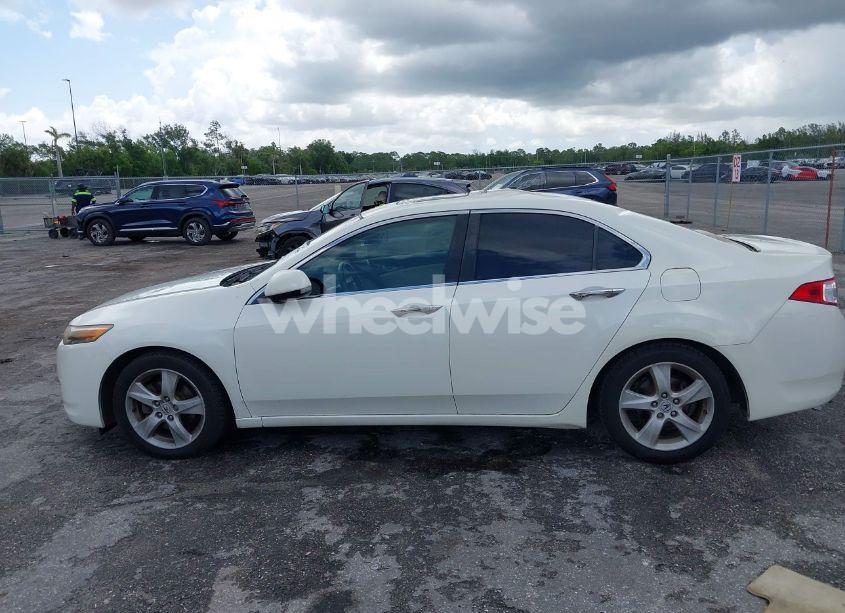 Photo 14 of 2009 Acura Tsx N/A (VIN JH4CU26649C018276)
