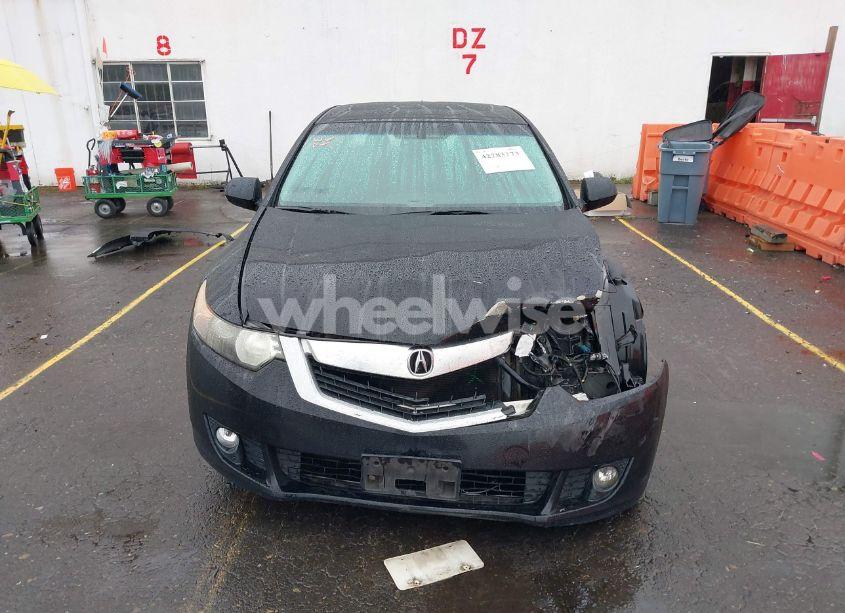 Photo 13 of 2009 Acura Tsx N/A (VIN JH4CU26649C026300)