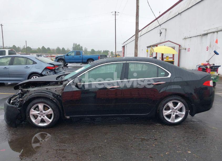 Photo 15 of 2009 Acura Tsx N/A (VIN JH4CU26649C026300)
