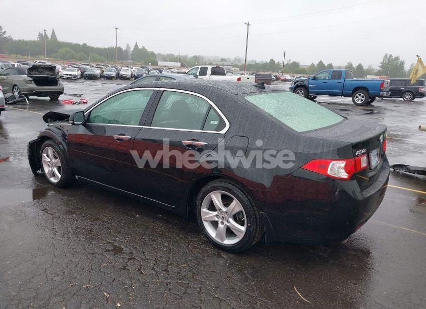 Photo 3 of 2009 Acura Tsx N/A (VIN JH4CU26649C026300)