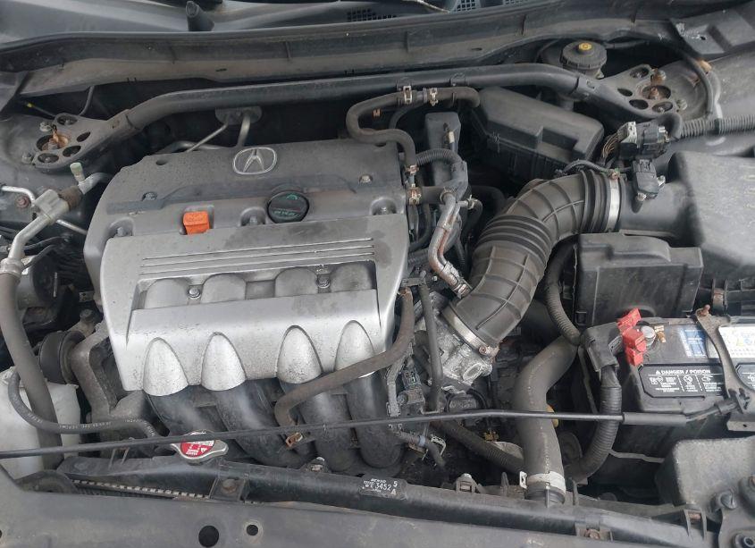 Photo 10 of 2009 Acura Tsx (VIN JH4CU26649C034767)