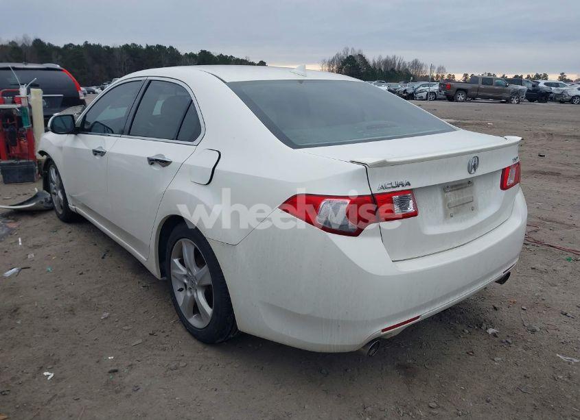 Photo 3 of 2009 Acura Tsx N/A (VIN JH4CU26649C036907)