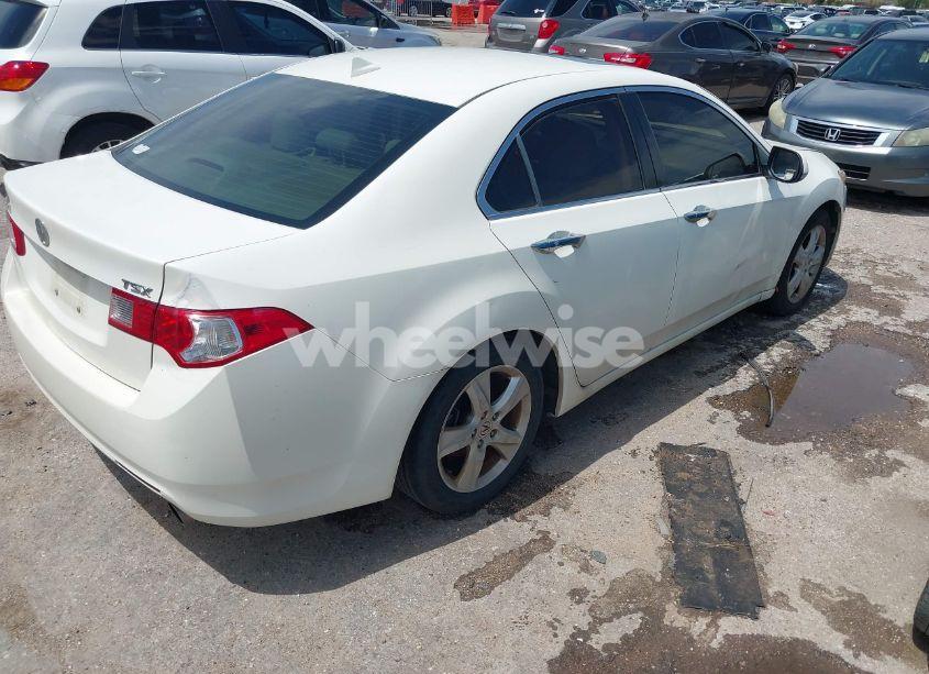 Photo 4 of 2009 Acura Tsx N/A (VIN JH4CU26659C013541)