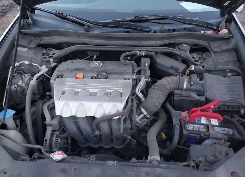 Photo 10 of 2009 Acura Tsx (VIN JH4CU26679C003979)