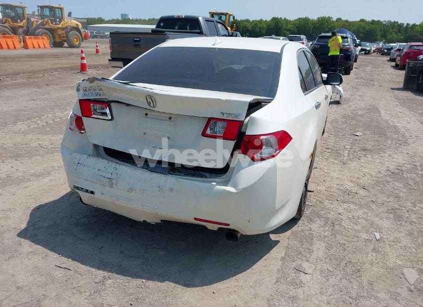 Photo 4 of 2009 Acura Tsx N/A (VIN JH4CU26689C024260)