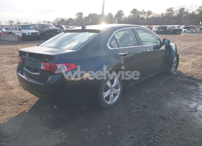 Photo 4 of 2009 Acura Tsx N/A (VIN JH4CU26699C034294)