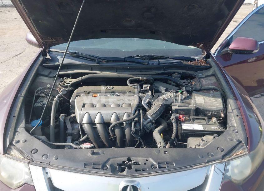Photo 10 of 2009 Acura Tsx N/A (VIN JH4CU26699C035624)