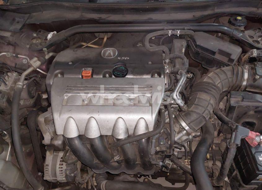 Photo 10 of 2009 Acura Tsx N/A (VIN JH4CU266X9C025006)