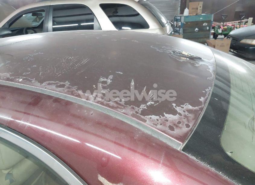 Photo 12 of 2009 Acura Tsx N/A (VIN JH4CU266X9C025006)