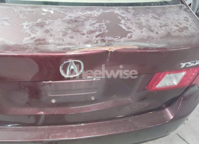 Photo 13 of 2009 Acura Tsx N/A (VIN JH4CU266X9C025006)