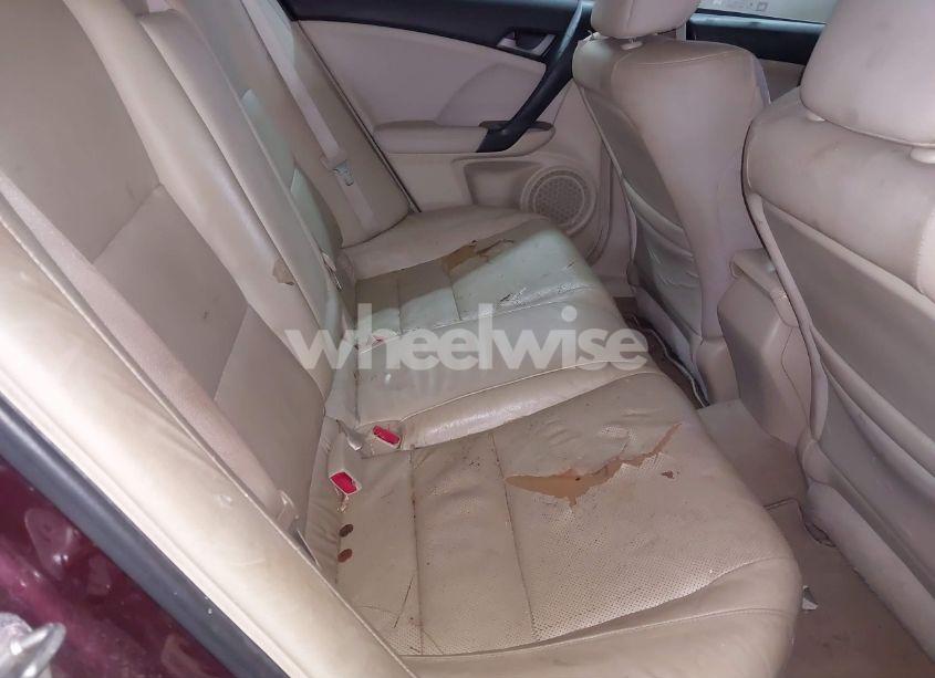 Photo 8 of 2009 Acura Tsx N/A (VIN JH4CU266X9C025006)