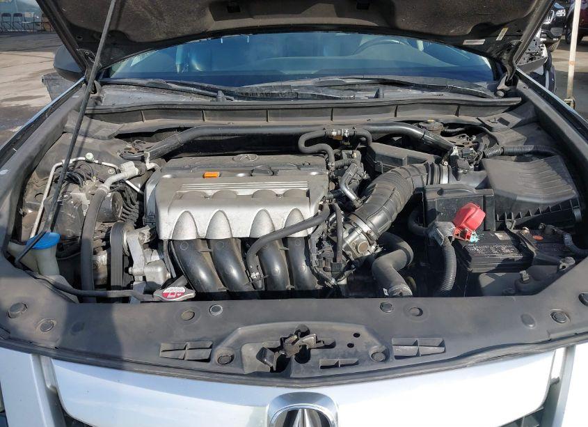 Photo 10 of 2009 Acura Tsx (VIN JH4CU266X9C028665)