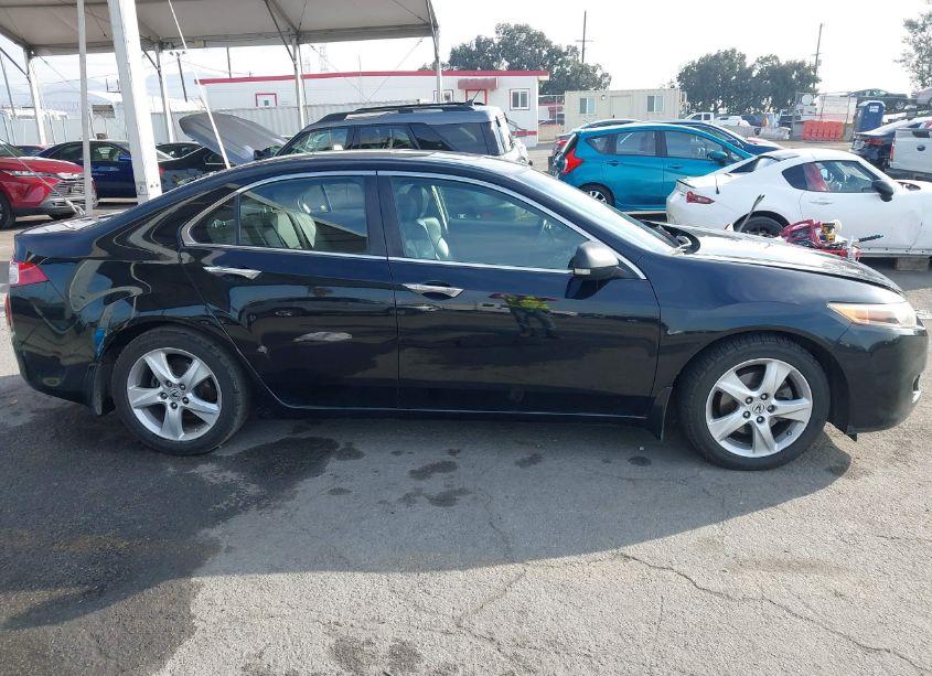 Photo 13 of 2009 Acura Tsx (VIN JH4CU266X9C028665)