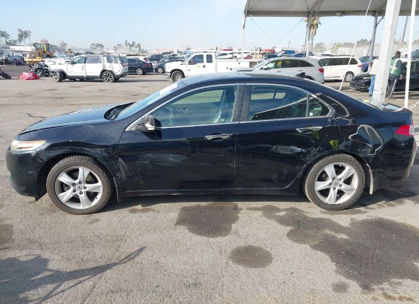 Photo 14 of 2009 Acura Tsx (VIN JH4CU266X9C028665)