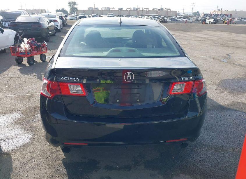 Photo 16 of 2009 Acura Tsx (VIN JH4CU266X9C028665)