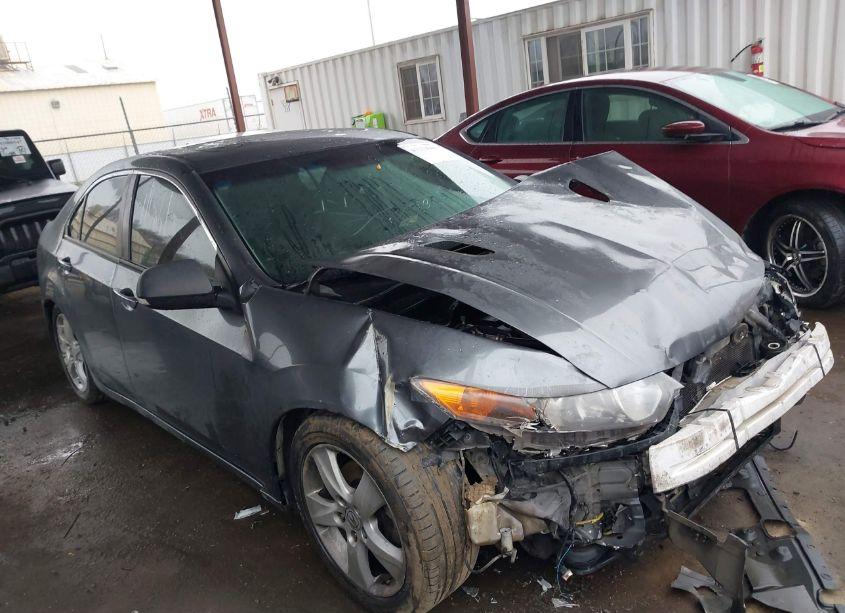 Photo 13 of 2009 Acura Tsx N/A (VIN JH4CU266X9C033381)