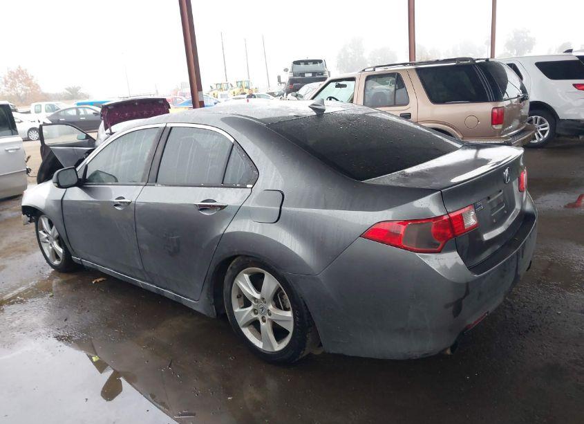 Photo 14 of 2009 Acura Tsx N/A (VIN JH4CU266X9C033381)