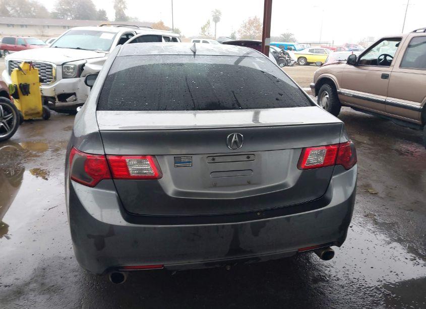 Photo 16 of 2009 Acura Tsx N/A (VIN JH4CU266X9C033381)