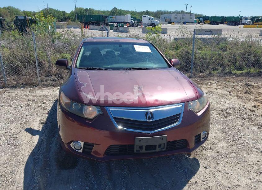 Photo 12 of 2012 Acura Tsx 2.4 (VIN JH4CU2F46CC006877)