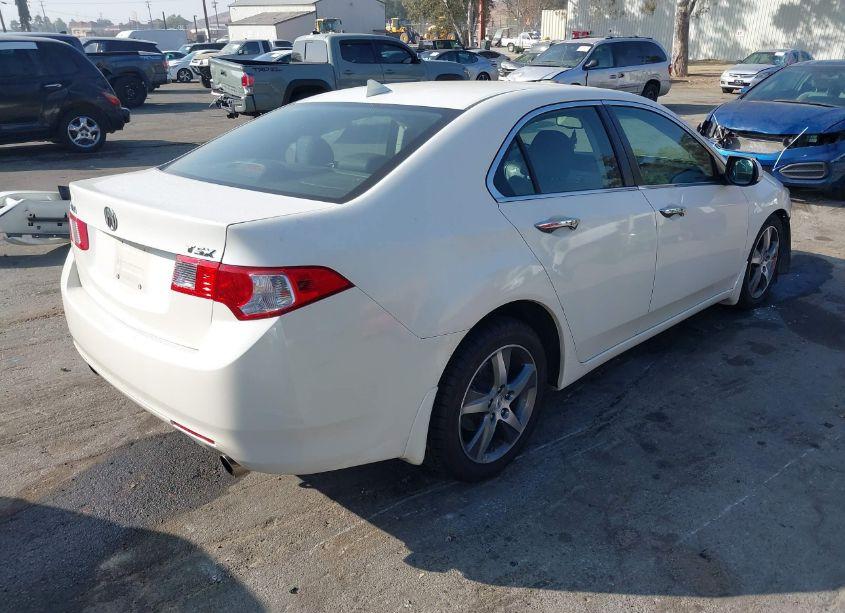 Photo 4 of 2010 Acura Tsx 2.4/2.4 (A5) (VIN JH4CU2F60AC006369)