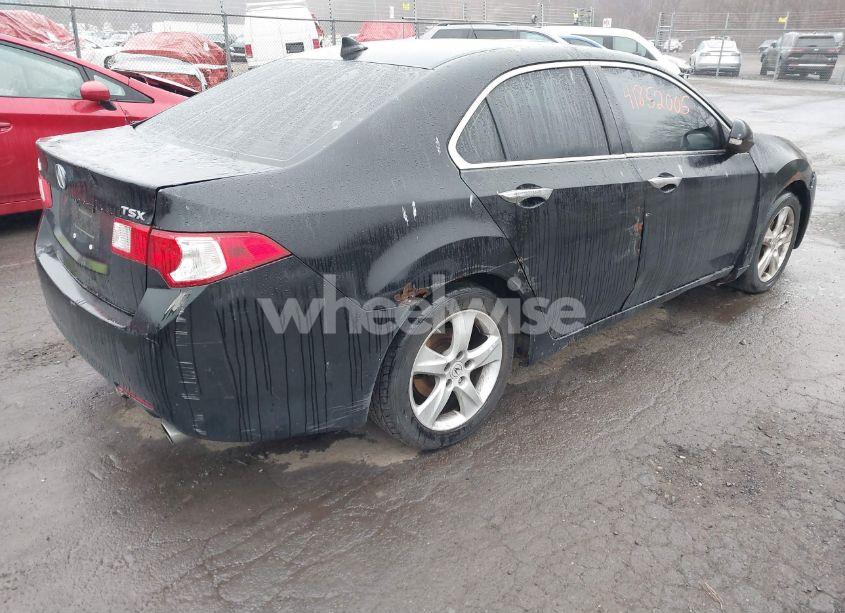 Photo 4 of 2010 Acura Tsx 2.4 (VIN JH4CU2F60AC014603)