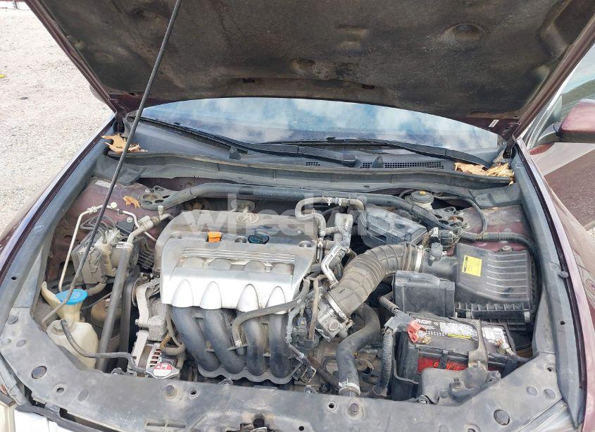 Photo 10 of 2010 Acura Tsx 2.4 (VIN JH4CU2F60AC021017)