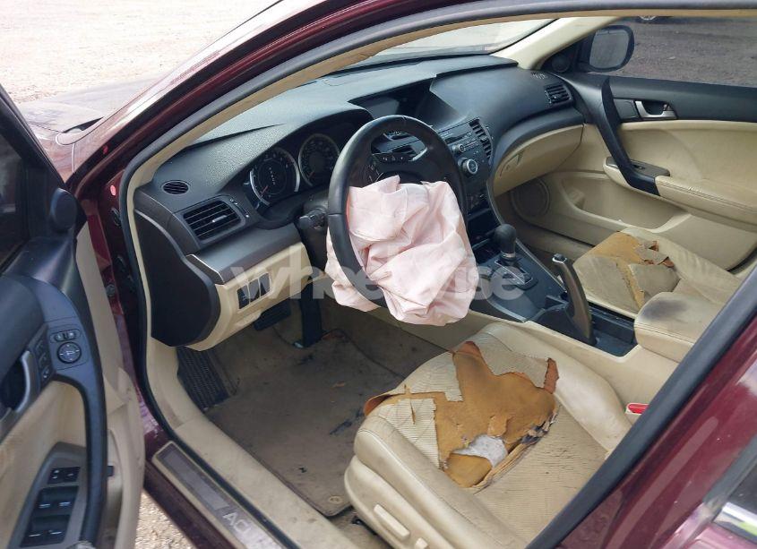 Photo 19 of 2010 Acura Tsx 2.4 (VIN JH4CU2F60AC021017)