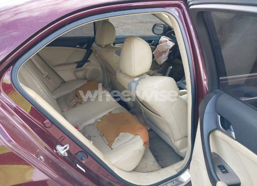 Photo 8 of 2010 Acura Tsx 2.4 (VIN JH4CU2F60AC021017)