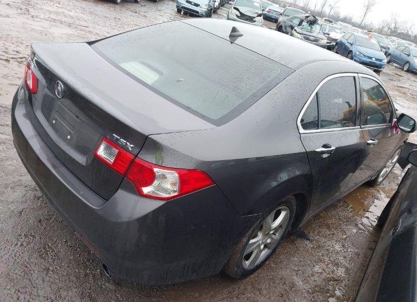 Photo 4 of 2010 Acura Tsx 2.4 (VIN JH4CU2F60AC030378)