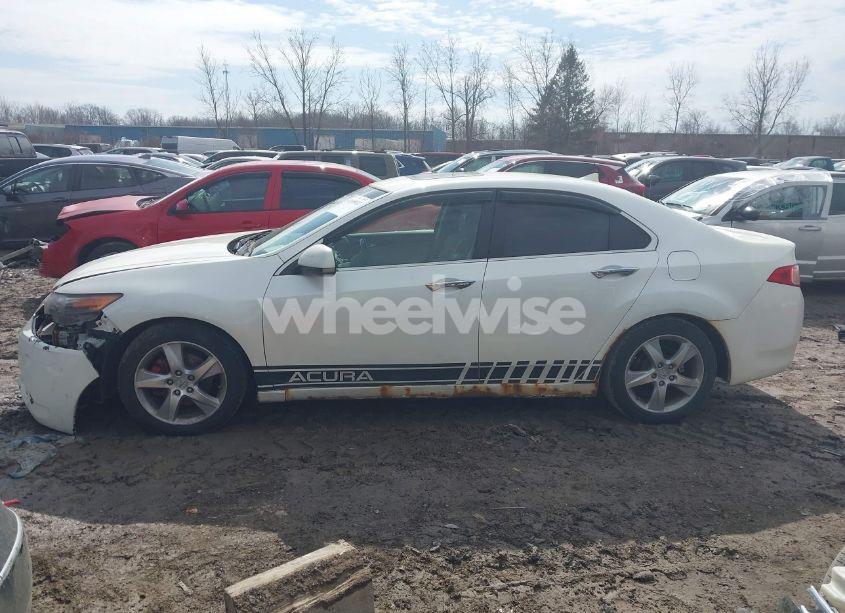 Photo 14 of 2011 Acura Tsx 2.4 (VIN JH4CU2F60BC015073)