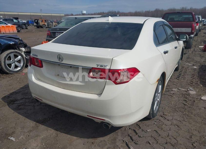 Photo 4 of 2011 Acura Tsx 2.4 (VIN JH4CU2F60BC015073)