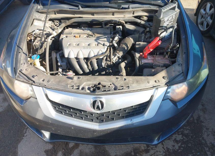 Photo 10 of 2010 Acura Tsx 2.4 (VIN JH4CU2F61AC021656)