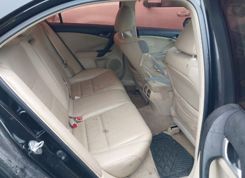 Photo 8 of 2013 Acura Tsx 2.4 (VIN JH4CU2F61DC006689)