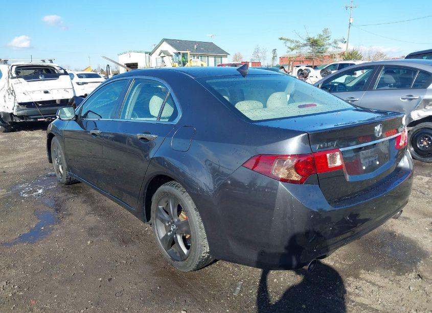 Photo 3 of 2011 Acura Tsx 2.4 (VIN JH4CU2F62BC011249)