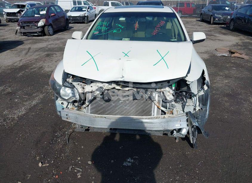 Photo 12 of 2011 Acura Tsx 2.4 (VIN JH4CU2F62BC013633)