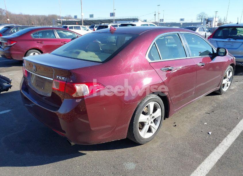 Photo 4 of 2011 Acura Tsx 2.4 (VIN JH4CU2F62BC014989)