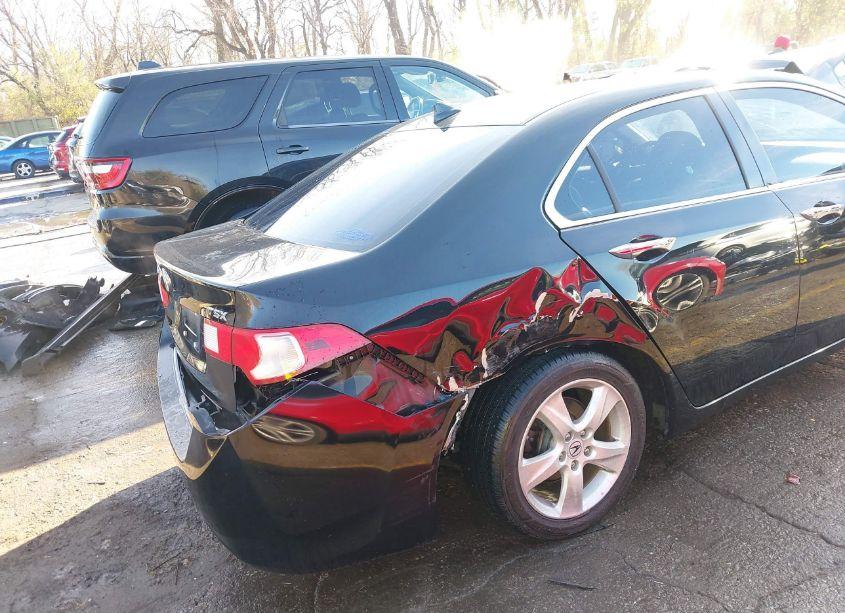 Photo 6 of 2010 Acura Tsx 2.4 (VIN JH4CU2F63AC029158)