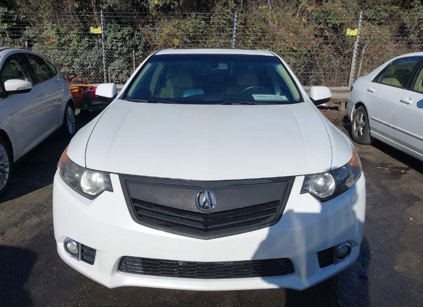 Photo 11 of 2013 Acura Tsx 2.4 (VIN JH4CU2F63DC012087)