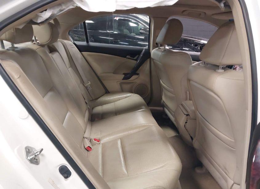 Photo 8 of 2010 Acura Tsx (VIN JH4CU2F64AC019934)