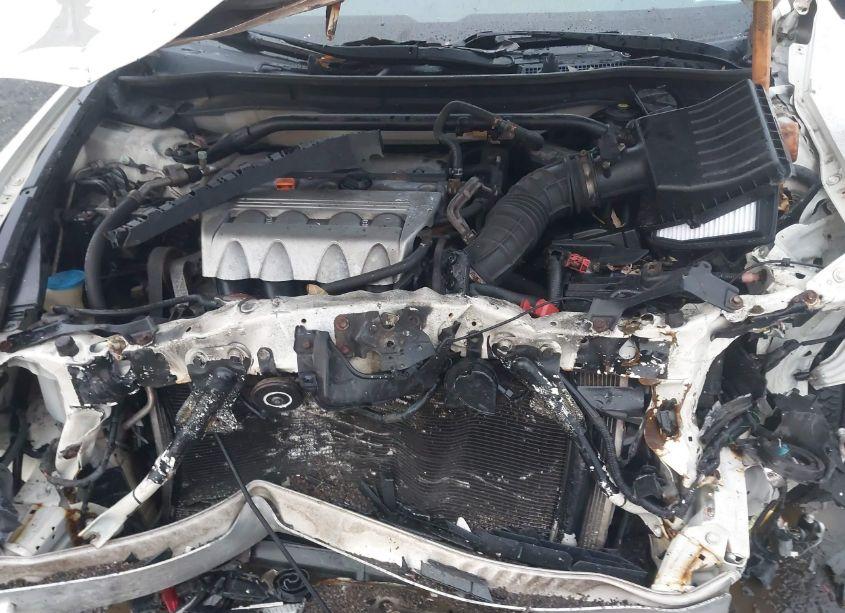 Photo 10 of 2010 Acura Tsx 2.4 (VIN JH4CU2F65AC007405)