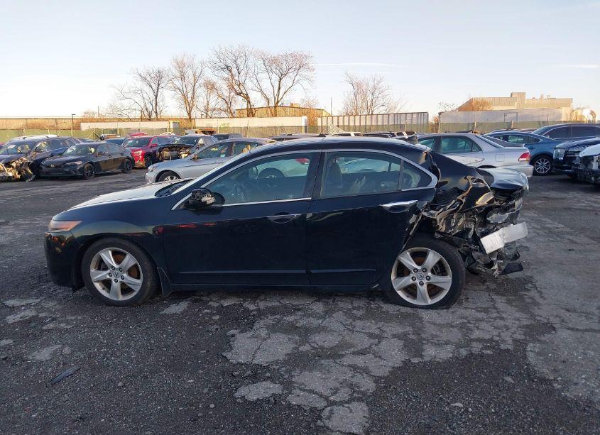 Photo 14 of 2010 Acura Tsx 2.4 (VIN JH4CU2F65AC009994)