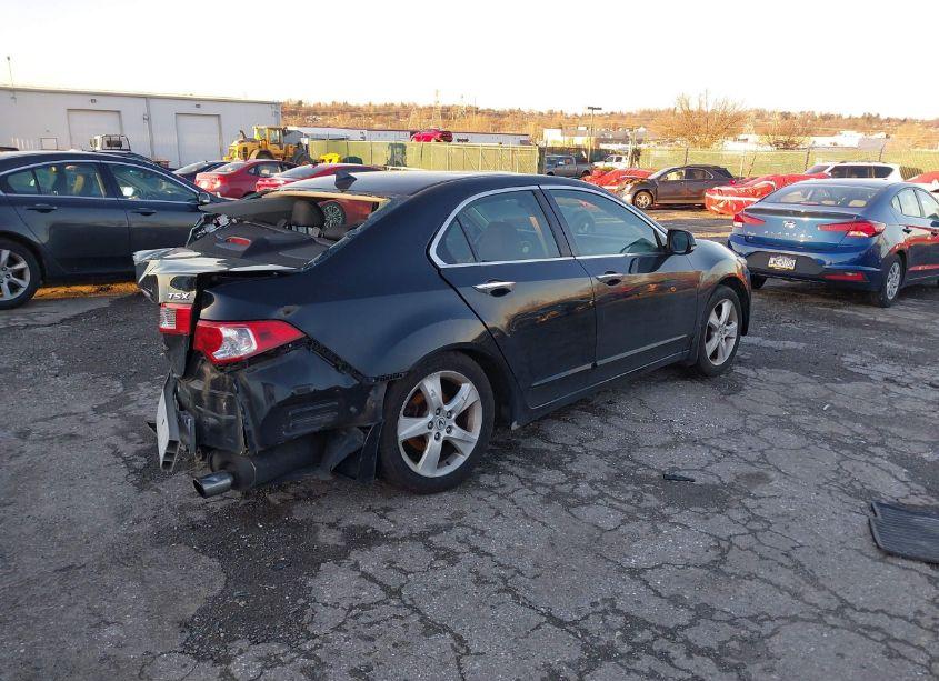 Photo 4 of 2010 Acura Tsx 2.4 (VIN JH4CU2F65AC009994)