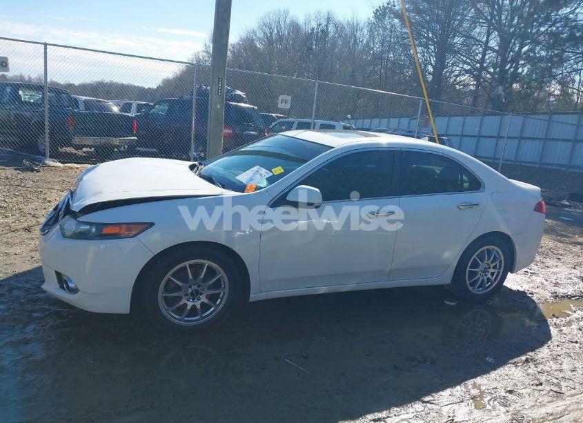Photo 14 of 2011 Acura Tsx 2.4 (VIN JH4CU2F65BC015084)