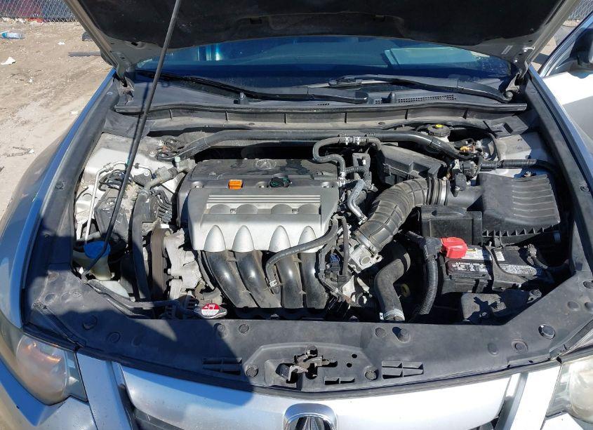 Photo 10 of 2010 Acura Tsx 2.4 (VIN JH4CU2F66AC008997)