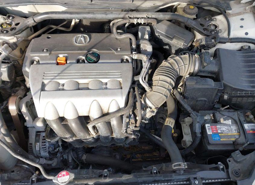 Photo 10 of 2010 Acura Tsx 2.4/2.4 (A5) (VIN JH4CU2F66AC011849)