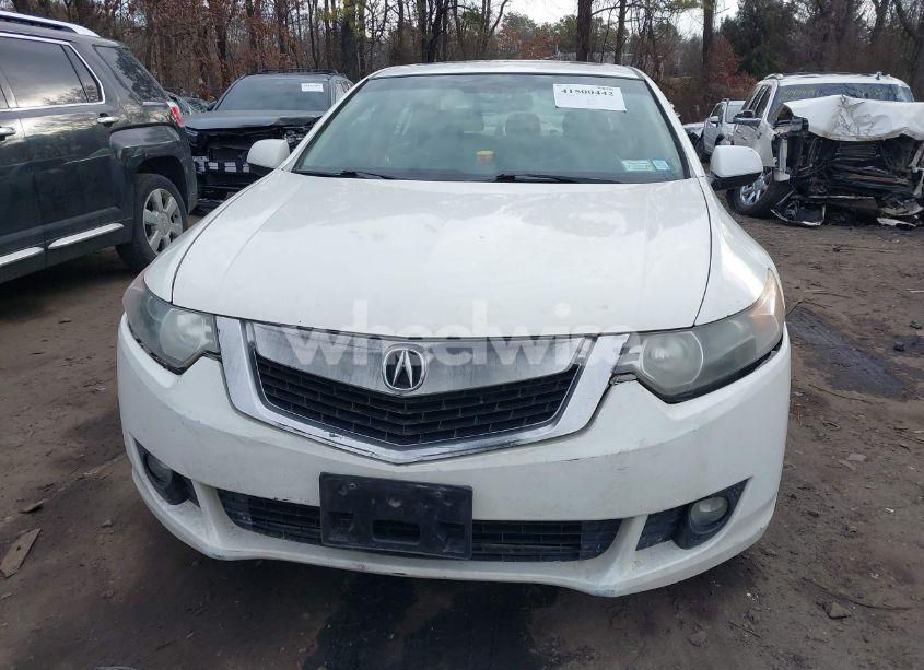 Photo 12 of 2010 Acura Tsx 2.4 (VIN JH4CU2F67AC034427)