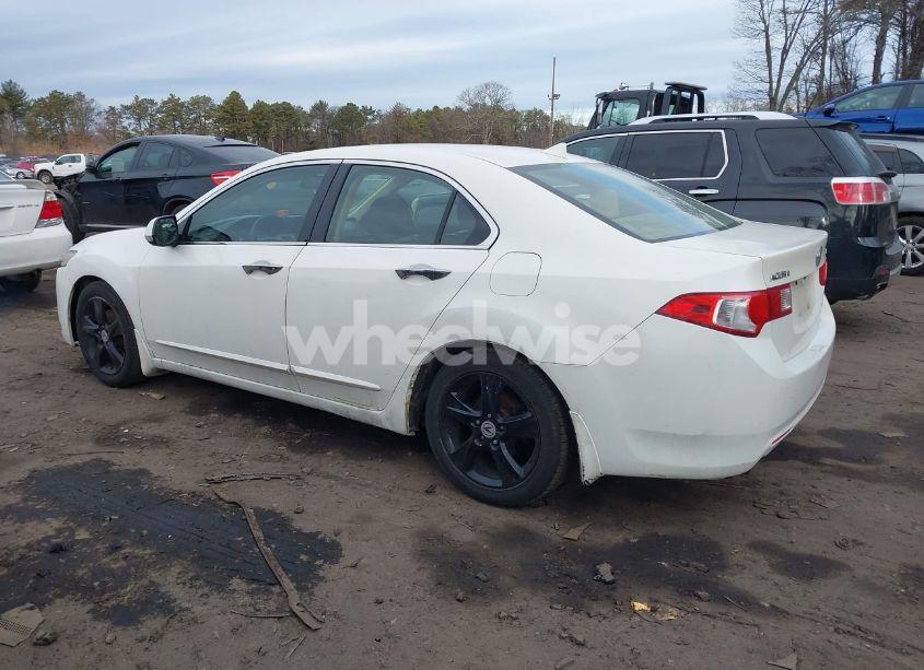 Photo 14 of 2010 Acura Tsx 2.4 (VIN JH4CU2F67AC034427)