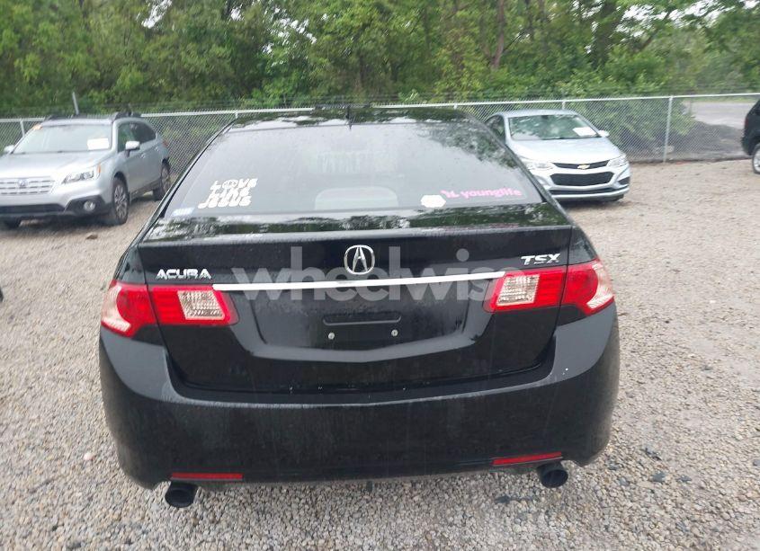 Photo 16 of 2011 Acura Tsx 2.4 (VIN JH4CU2F67BC006872)